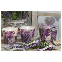 BARTEK Поцелуй лаванды (Lavander kiss) 115гр в стакане