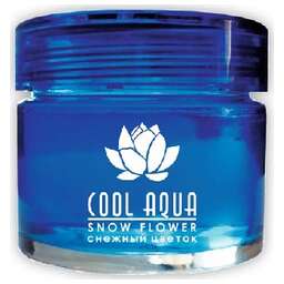 AZARD (СА-13) ароматизатор Cool Aqua, снежный цветок