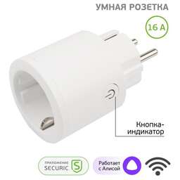 SECURIC Умная Wi-Fi розетка