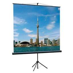 LUMIEN Экран Eco View LEV-100105, 160х160 см, 1:1, напольный