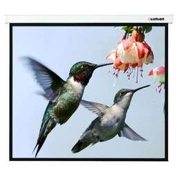 LUMIEN Экран 123" 202x280см Master Picture LMP-100117 16:9 настенно-потолочный рулонный