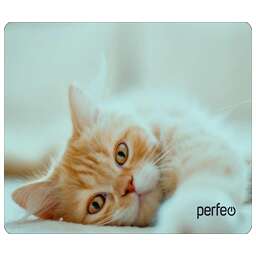 PERFEO (PF_D0649) "Cat"