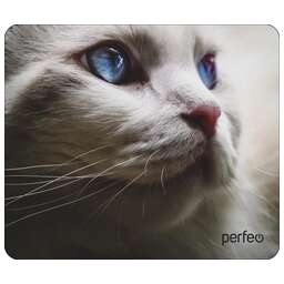 PERFEO (PF_D0669) "Cat"