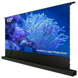 CACTUS Экран FloorRising CS-PSFRALR-221X125, 221х125 см, 16:9, напольный черный