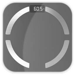 CENTEK CT-2425 Gray