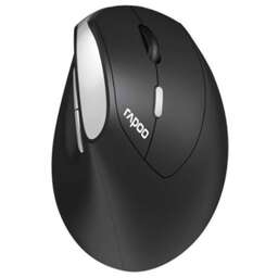 RAPOO EV250 Black