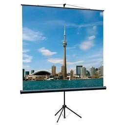 LUMIEN Экран Eco View LEV-100102, 180х180 см, 1:1, напольный