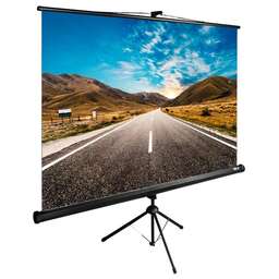 CACTUS Экран 89" 160x160см TriExpert CS-PSTE-160x160-BK 1:1 напольный рулонный черный