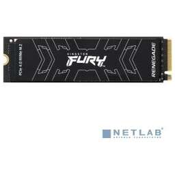 Kingston SFYRS/500G