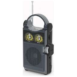 RITMIX RPR-333 черный