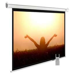 CACTUS Экран MotoExpert CS-PSME-220x165-WT, 220х165 см, 4:3, настенно-потолочный белый