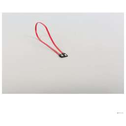 BION EXPERT Expert BXP-SATAM-DATA-30CM-BULK