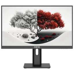 RDW COMPUTERS Монитор 23.8" 2401K черный IPS 4ms HDMI 300cd 178гр/178гр 1920x1080 100Hz VGA DP FHD 4.185кг (RUS)