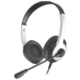 A4Tech FH-100U