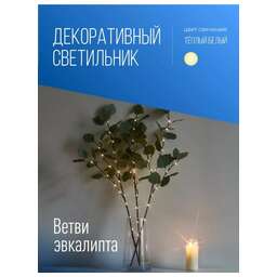 КОСМОС KOC_INT-B131 Ветки Эвкалипта 60см 36L