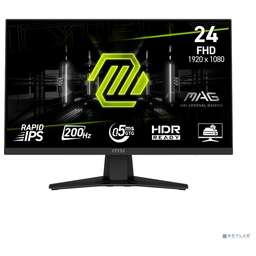 MicroStar 244F
