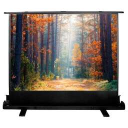 CACTUS Экран 89" 135x180см FloorExpert CS-PSFLE-180X135 4:3 напольный рулонный